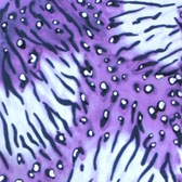 Mintás fürdőruha anyag - VIOLET